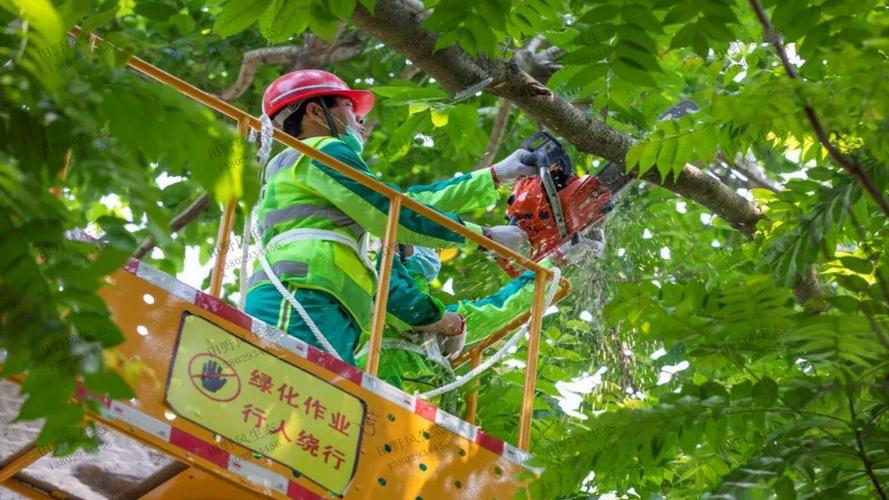 1万平园林景观设计